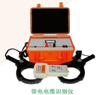 帶電識別儀